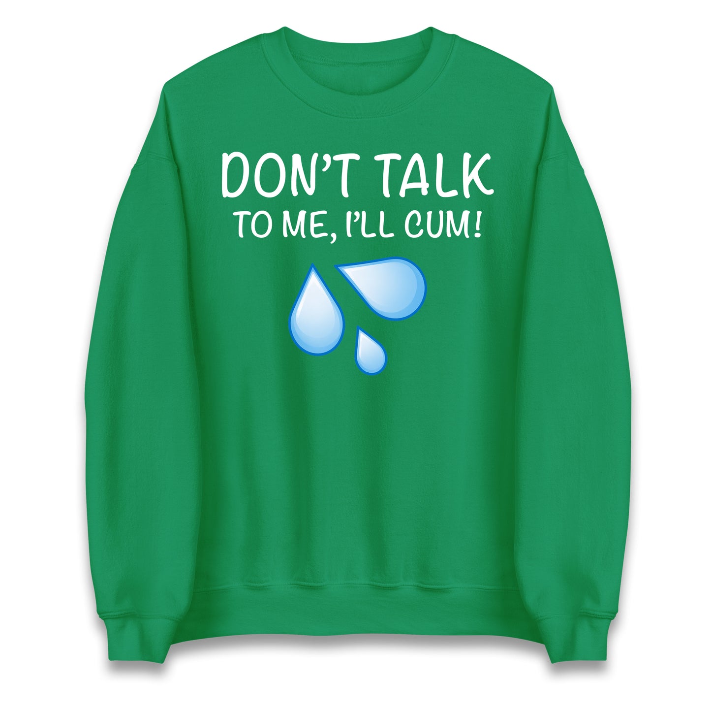 Don't Talk To Me I'll Cum Jumper