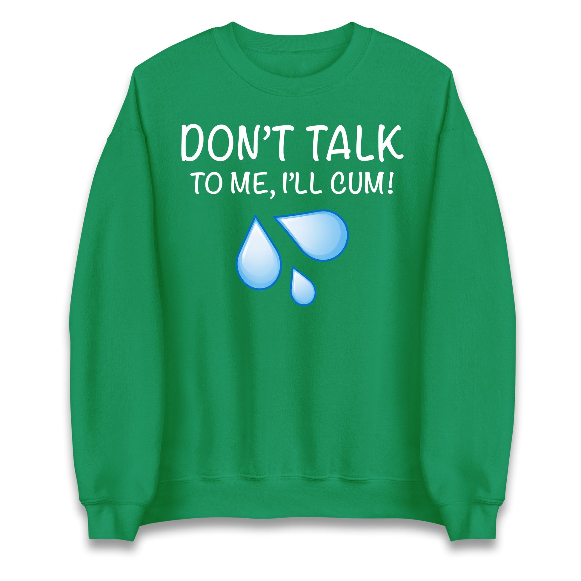 Don't Talk To Me I'll Cum Jumper