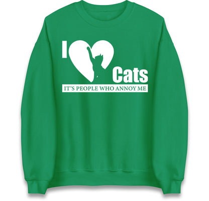 i love cats jumper