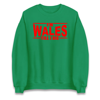 I'm Wales Till I Die Jumper