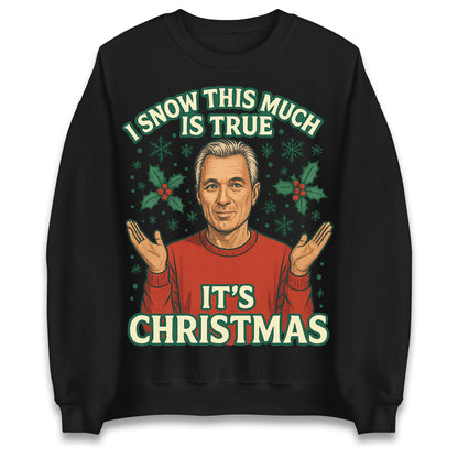 I Snow This Much Is True Martin Kemp Christmas Jumper