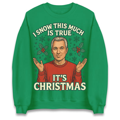 I Snow This Much Is True Martin Kemp Christmas Jumper