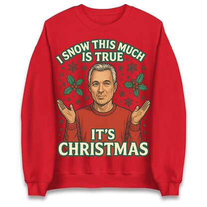 I Snow This Much Is True Martin Kemp Christmas Jumper