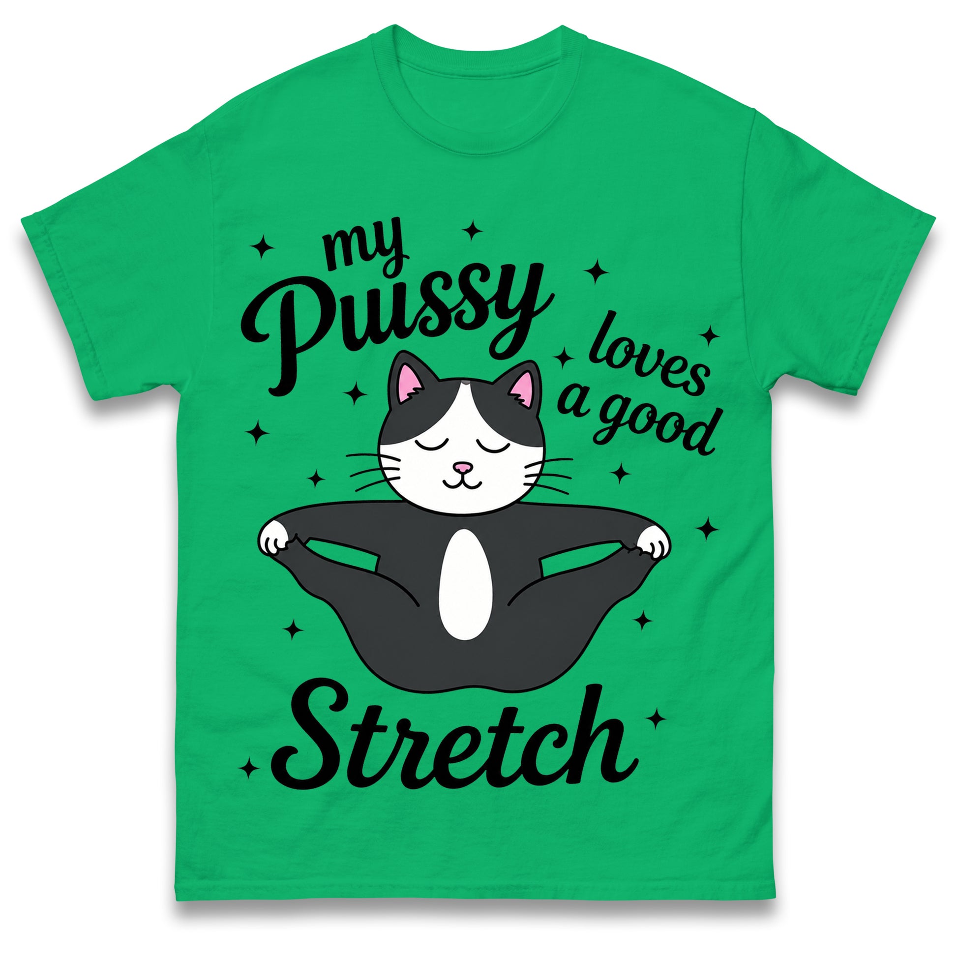 My Pussy Loves a Good Stretch Shirt Funny Cat Meme Sarcastic Inappropriate T Shirt Offensive Embarrassing T Shirt