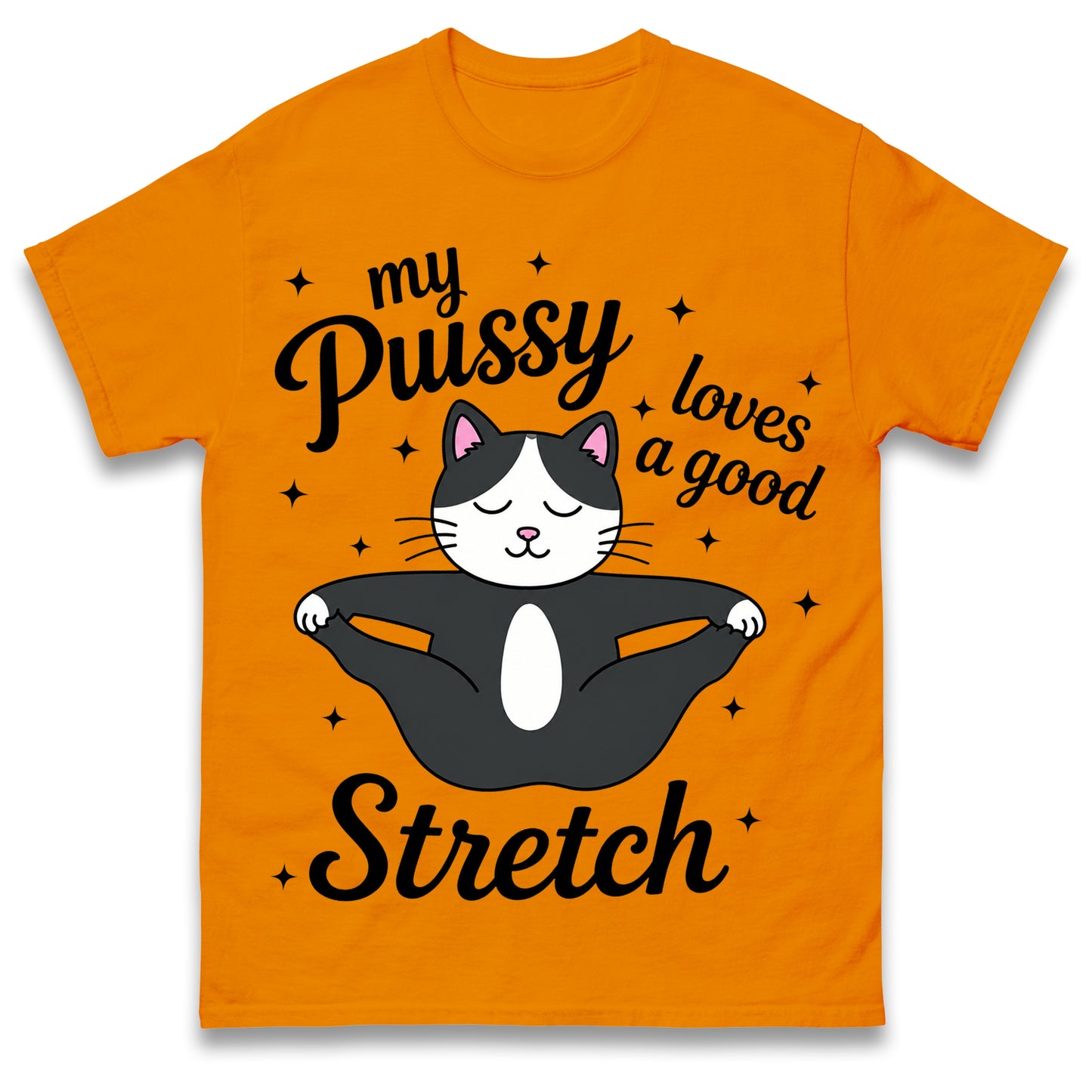 My Pussy Loves a Good Stretch Shirt Funny Cat Meme Sarcastic Inappropriate T Shirt Offensive Embarrassing T Shirt