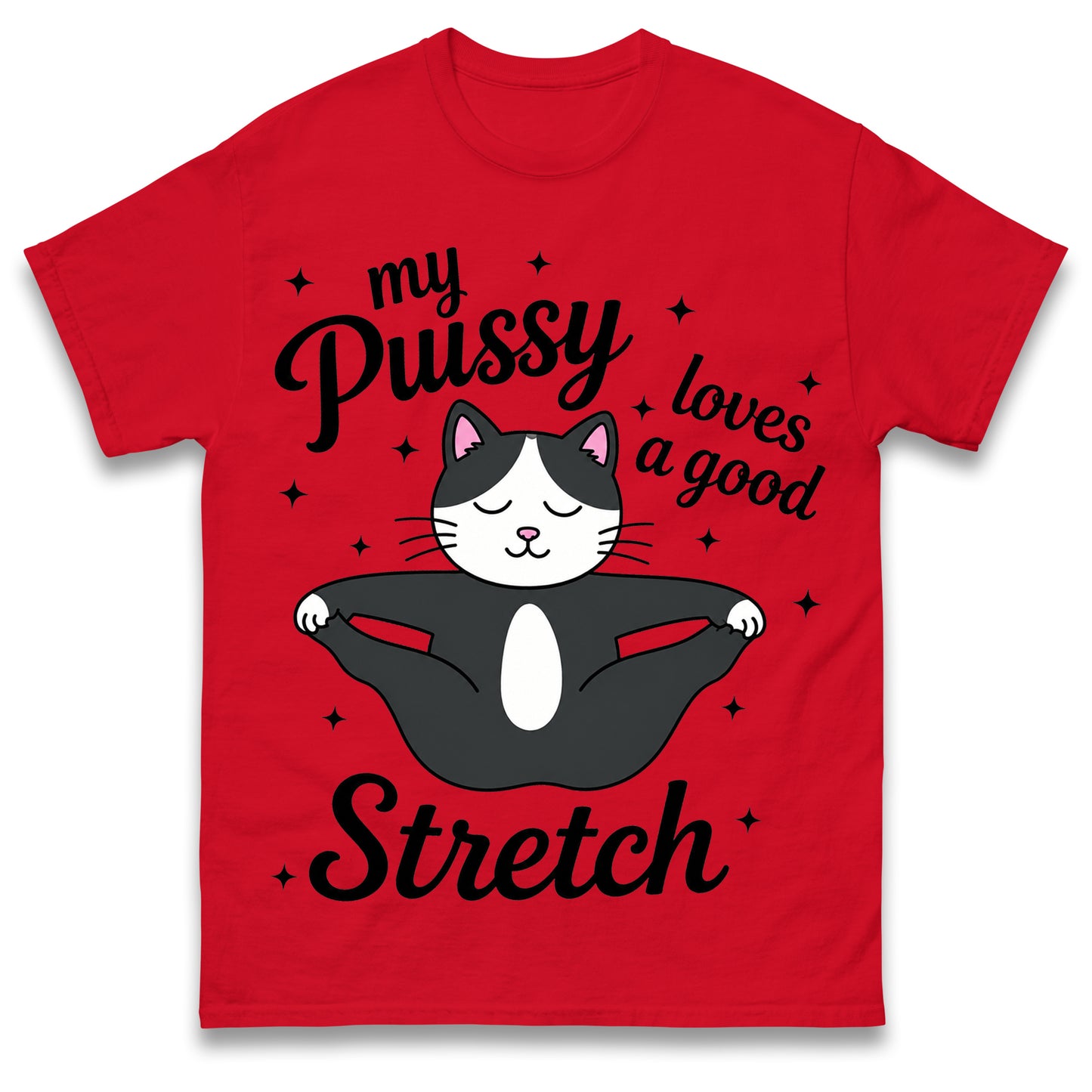My Pussy Loves a Good Stretch Shirt Funny Cat Meme Sarcastic Inappropriate T Shirt Offensive Embarrassing T Shirt