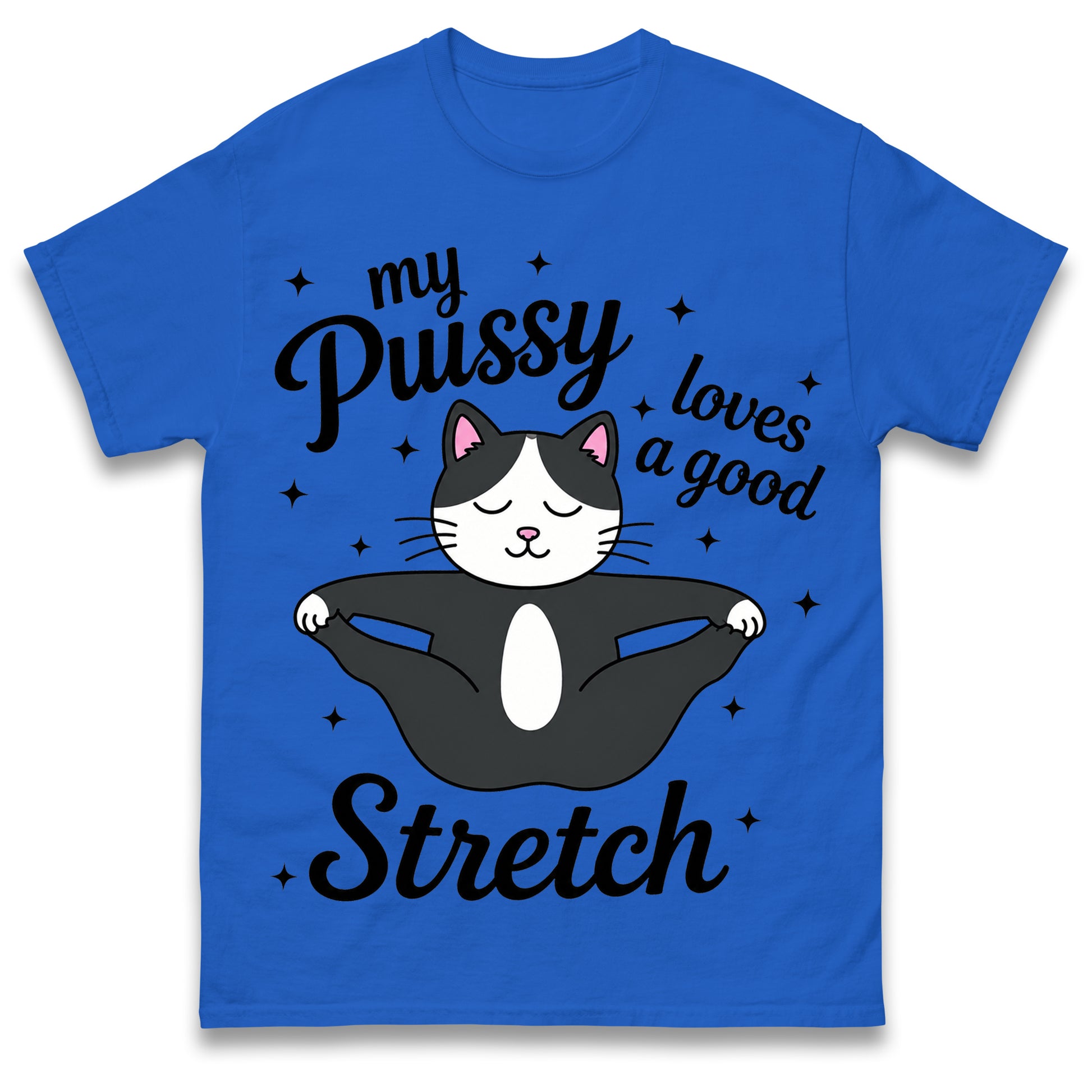 My Pussy Loves a Good Stretch Shirt Funny Cat Meme Sarcastic Inappropriate T Shirt Offensive Embarrassing T Shirt