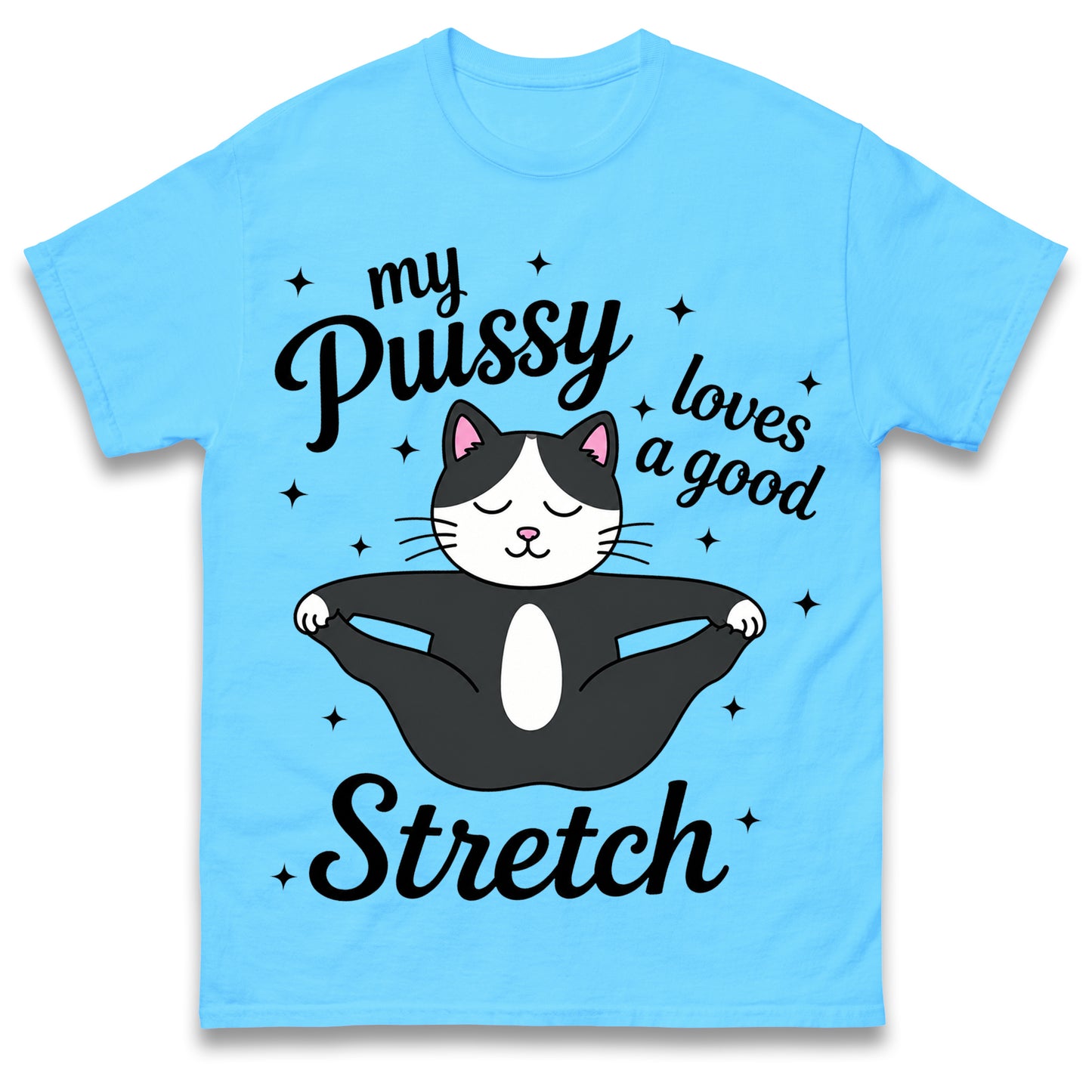 My Pussy Loves a Good Stretch Shirt Funny Cat Meme Sarcastic Inappropriate T Shirt Offensive Embarrassing T Shirt