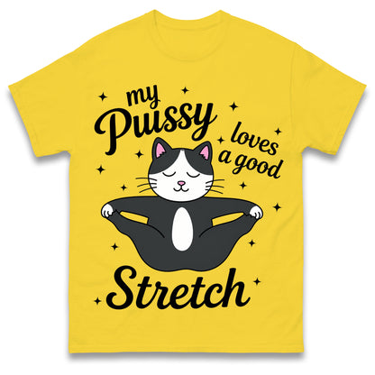 My Pussy Loves a Good Stretch Shirt Funny Cat Meme Sarcastic Inappropriate T Shirt Offensive Embarrassing T Shirt
