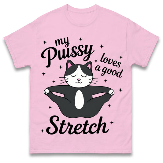 My Pussy Loves a Good Stretch Shirt Funny Cat Meme Sarcastic Inappropriate T Shirt Offensive Embarrassing T Shirt
