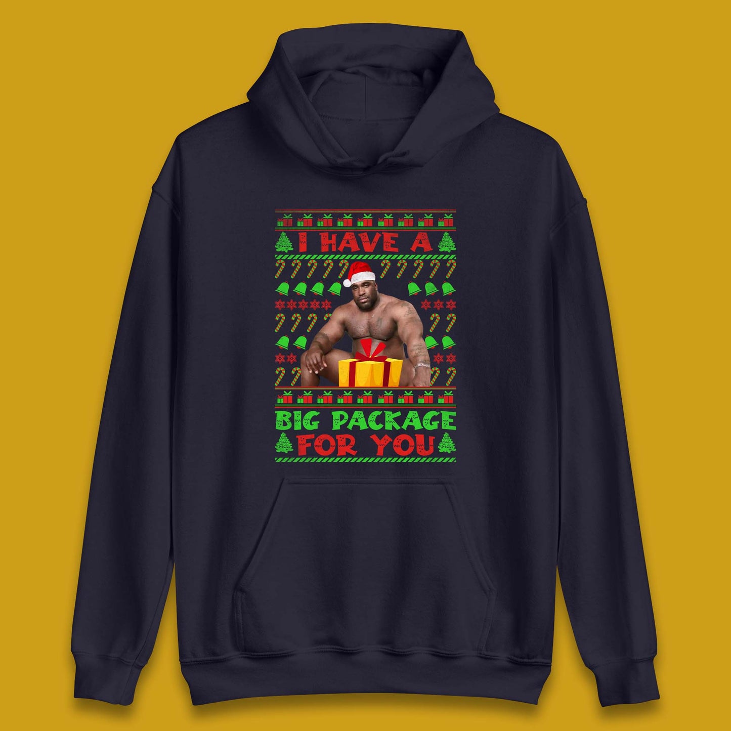 Big Package Ugly Christmas Unisex Hoodie