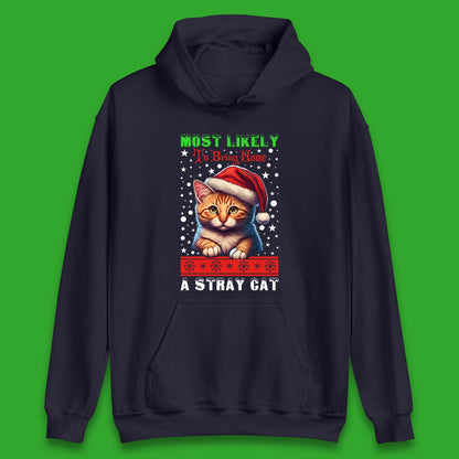 Stray Cat Christmas Unisex Hoodie