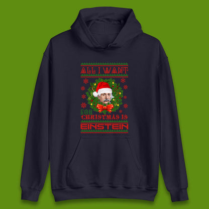 Want Einstein For Christmas Unisex Hoodie