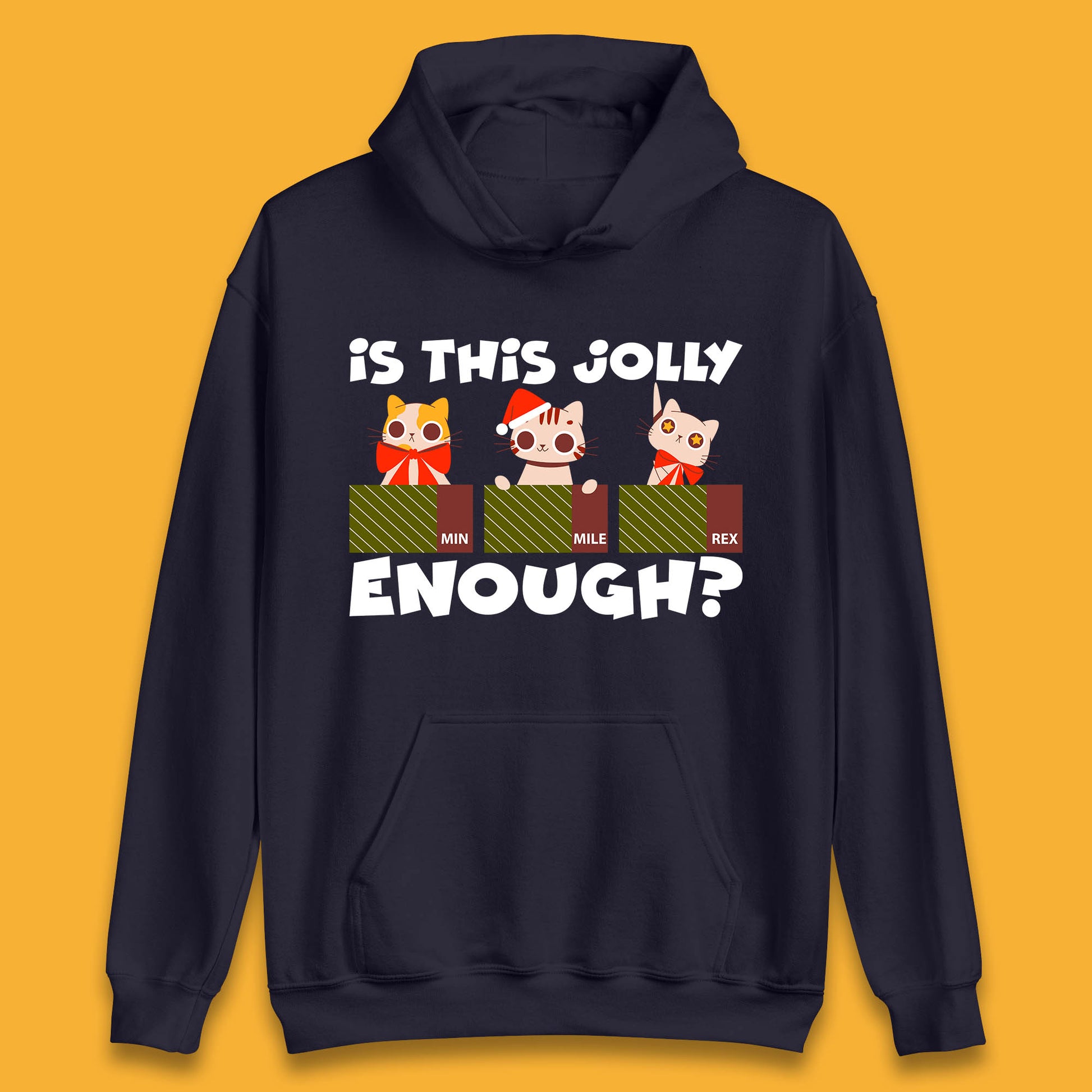 christmas cat hoodie