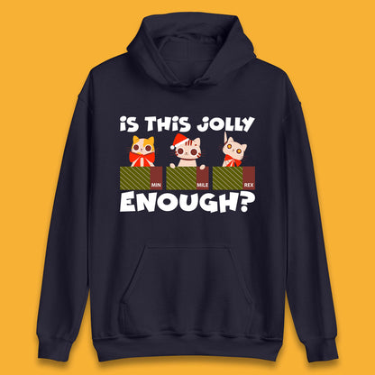 christmas cat hoodie