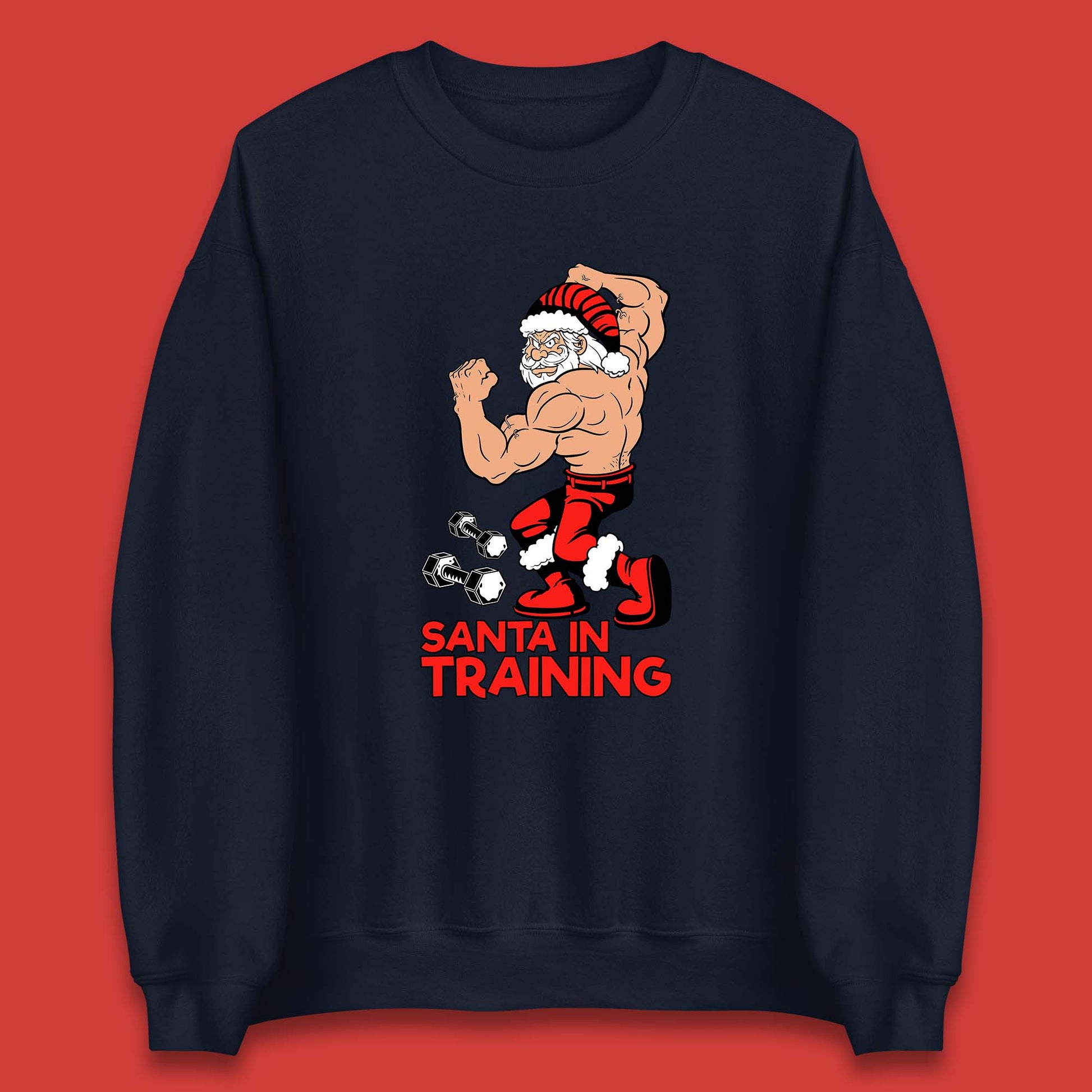 bodybuilding gym sweatshirt