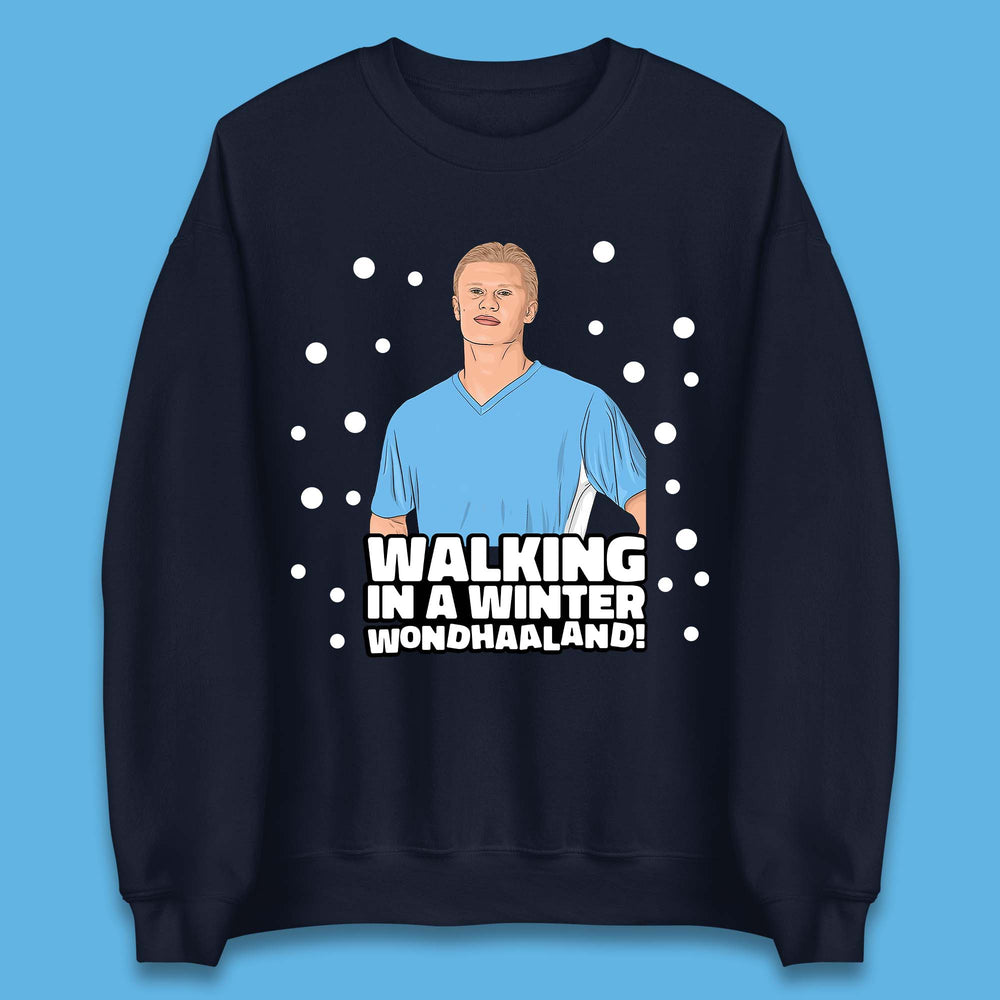 Walking In A Winter Wondhalland Christmas Unisex Sweatshirt
