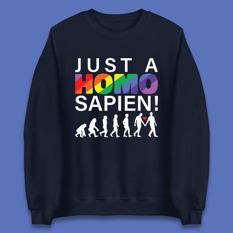 Just A Homo Sapien To Homo Erectus Evolution To Homo LGBTQ Funny Gay Pride Unisex Sweatshirt