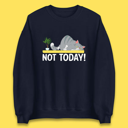 Not Today Cat Funny Kitten Lazy Cats Sleepy Cat Lover Unisex Sweatshirt