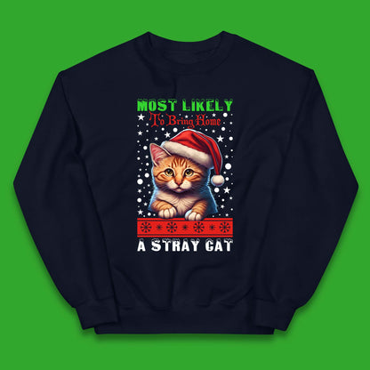 Stray Cat Christmas Kids Jumper