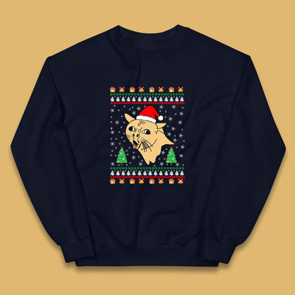 coughing cat christmas jumper