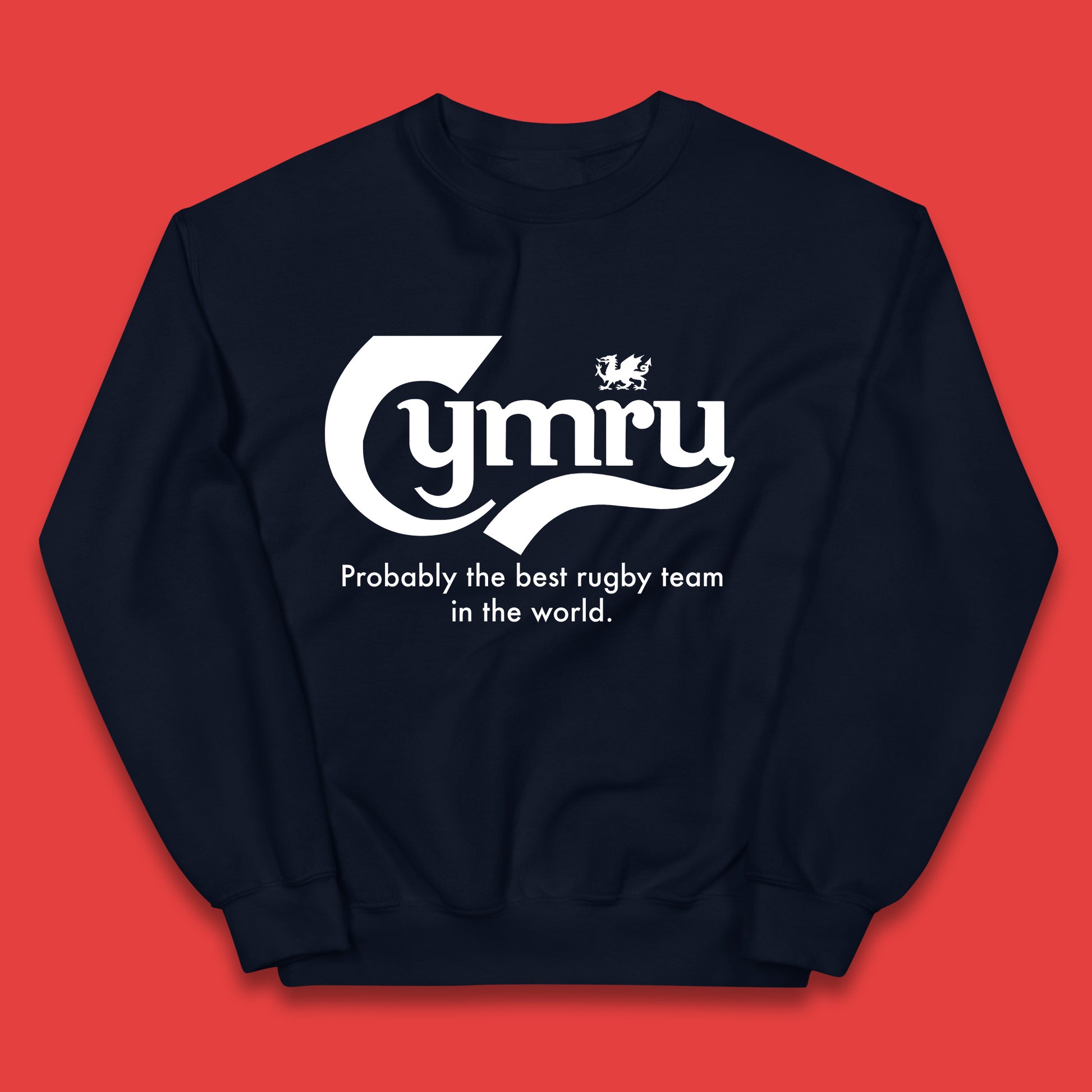 Junior Wales Rugby Hoodie