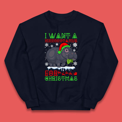 I Want A Hippopotamus For Christmas Kids Jumper