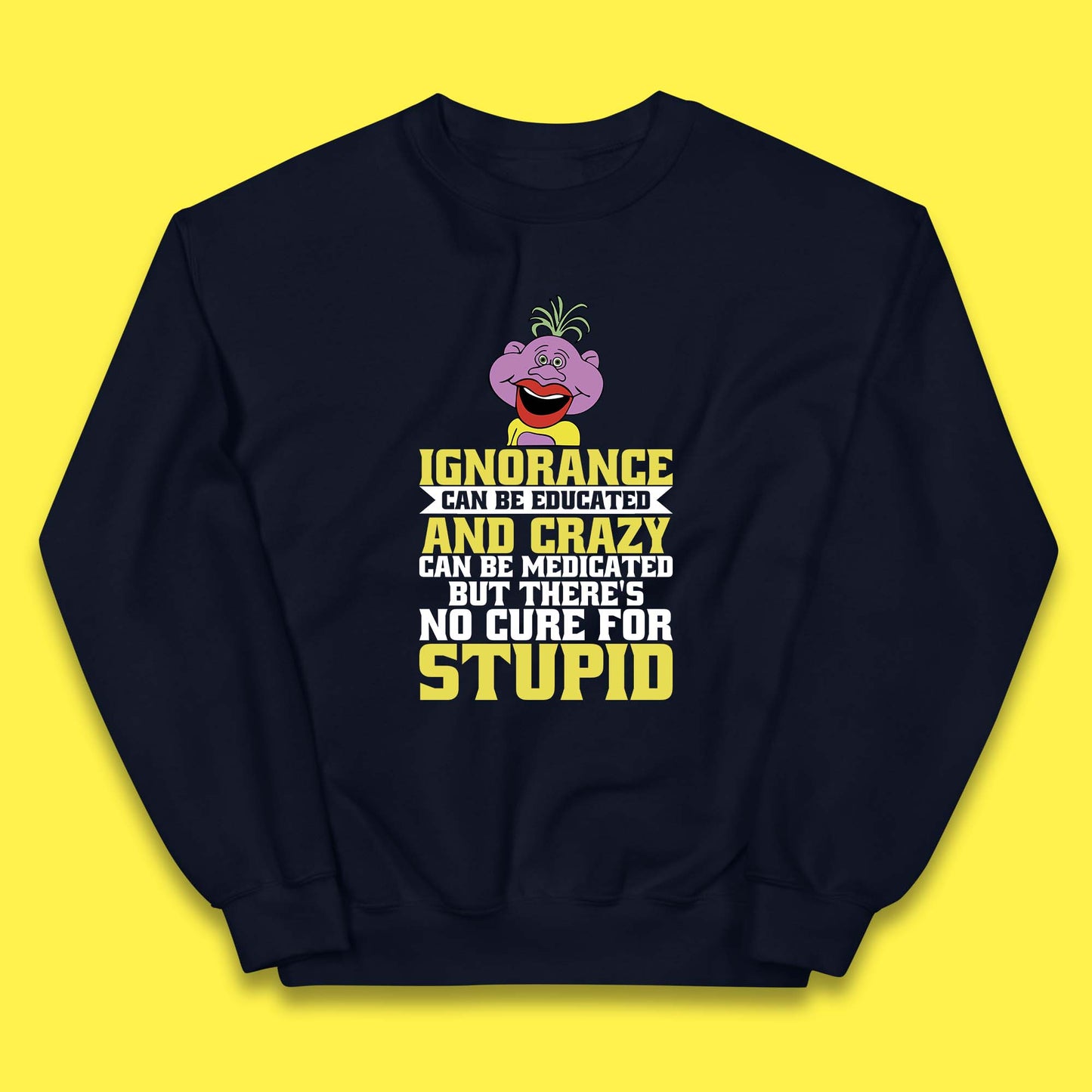 Ignorance Can Be Educated And Crazy Can Be Medicated But There's No Cure For Stupid Anonymous Quote Kids Jumper