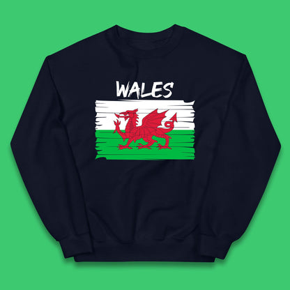 Welsh Dragon Flag Of Wales Saint Welsh Sant Dewi St. David's Day Dragon Flag Kids Jumper
