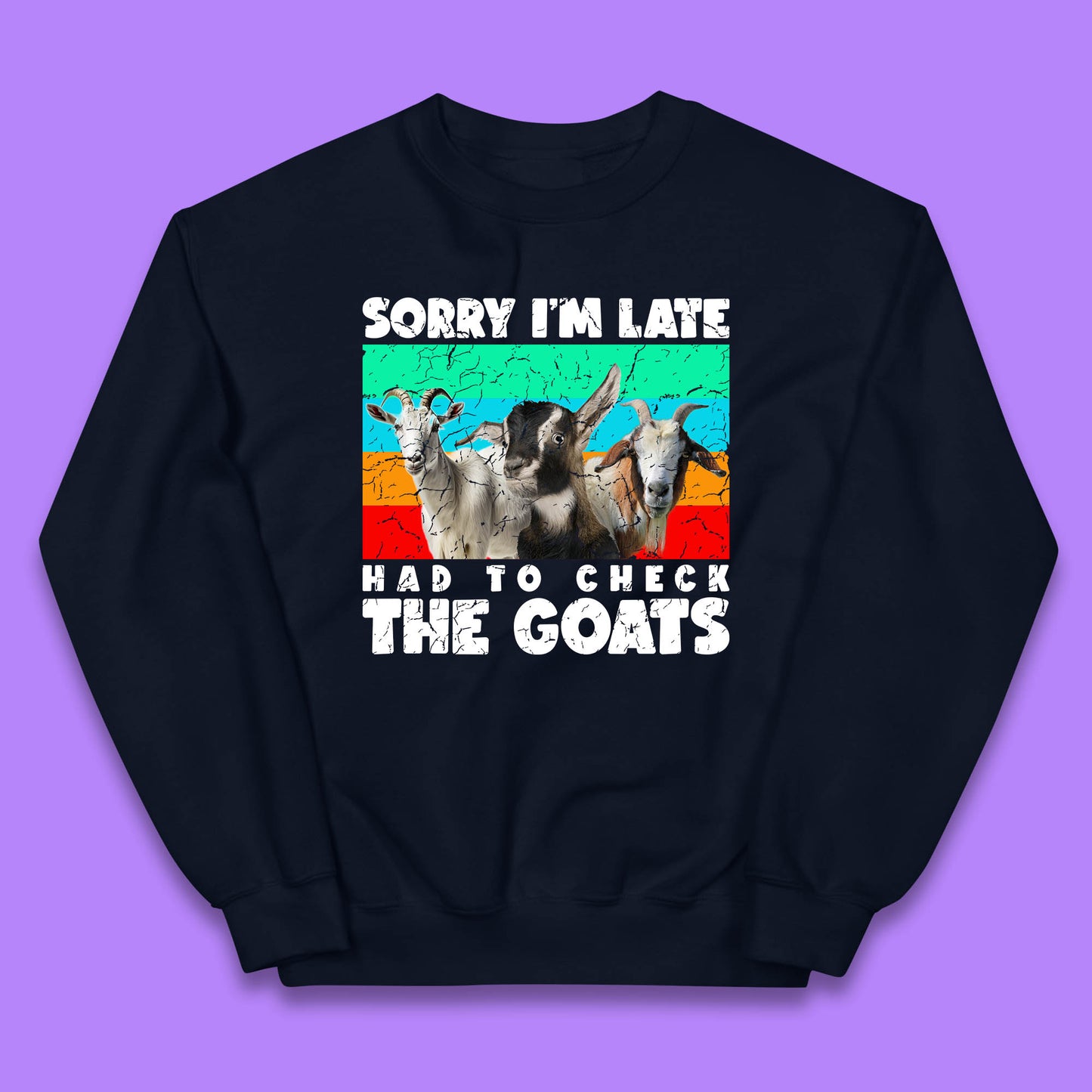 Sorry I'm Late Had To Check The Goats Vintage Goat Lover Farmer Kids Jumper