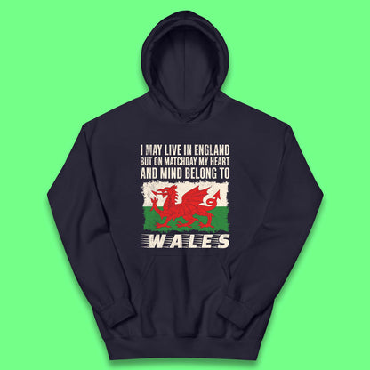 Children's Wales Football Hoodies UK