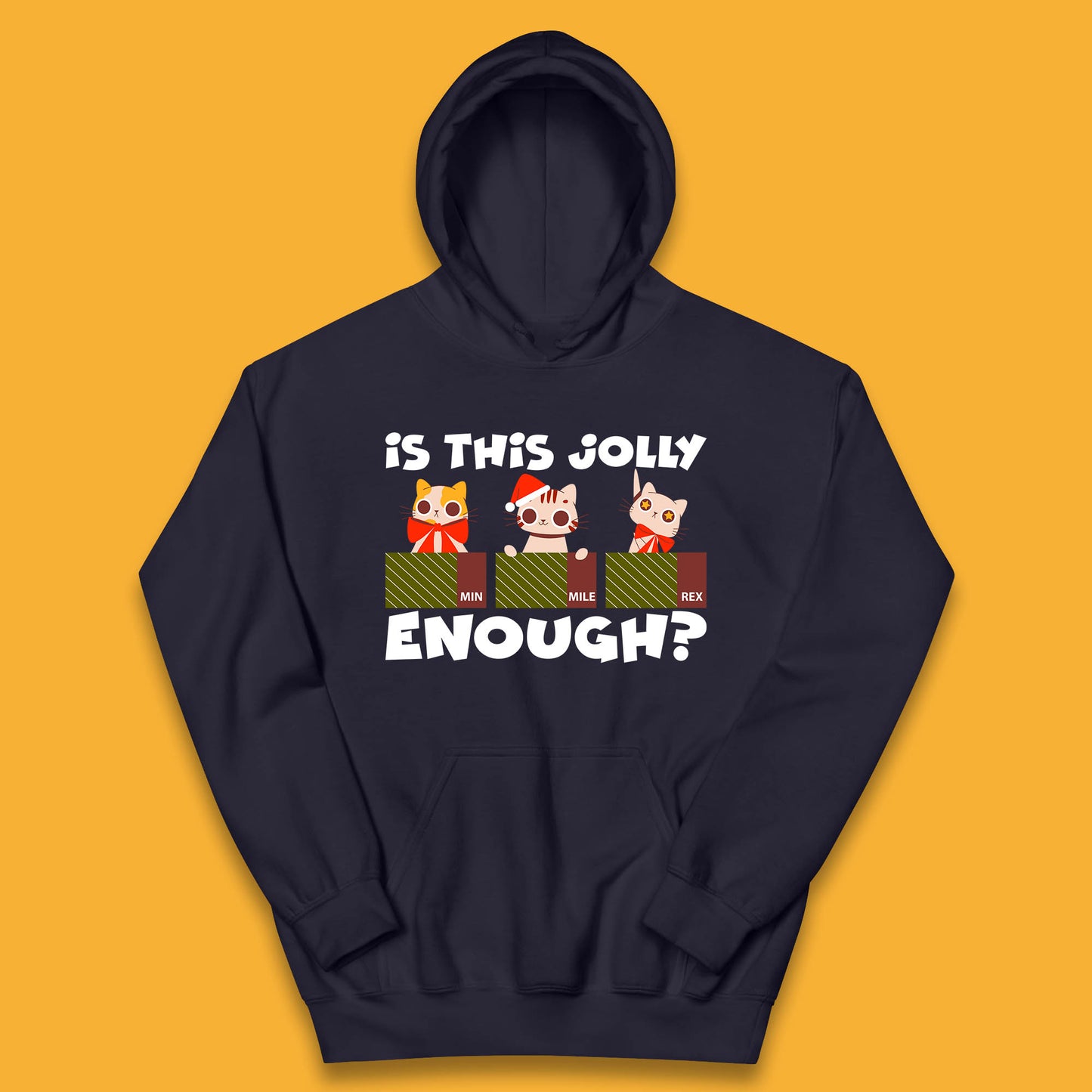 christmas cat hoodie