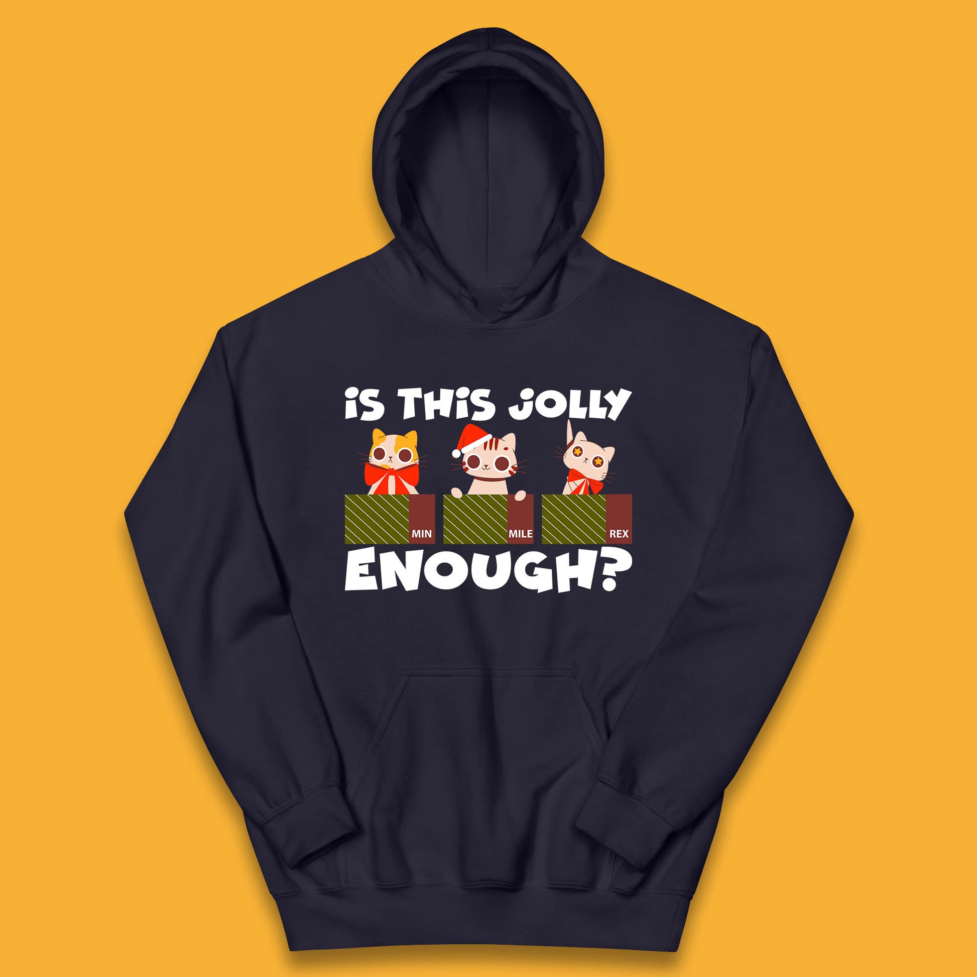 christmas cat hoodie