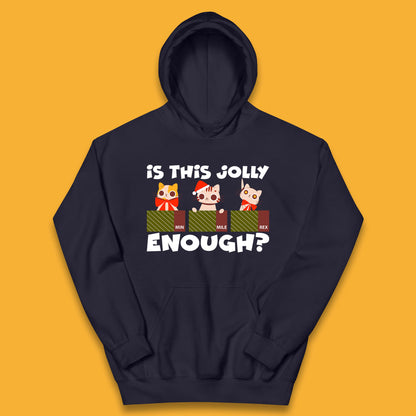 christmas cat hoodie