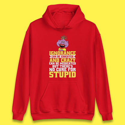 Ignorance Can Be Educated And Crazy Can Be Medicated But There's No Cure For Stupid Anonymous Quote Unisex Hoodie