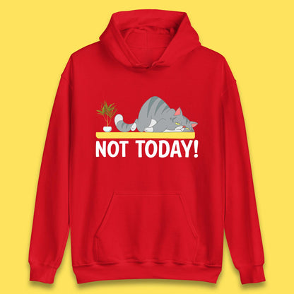 Not Today Cat Funny Kitten Lazy Cats Sleepy Cat Lover Unisex Hoodie
