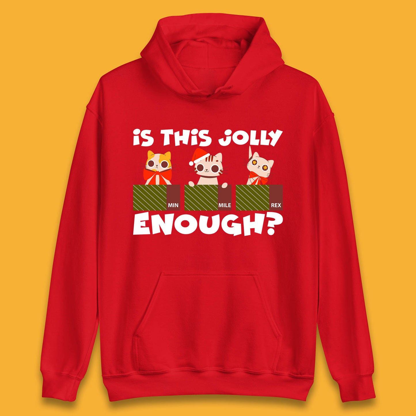 christmas cat hoodie