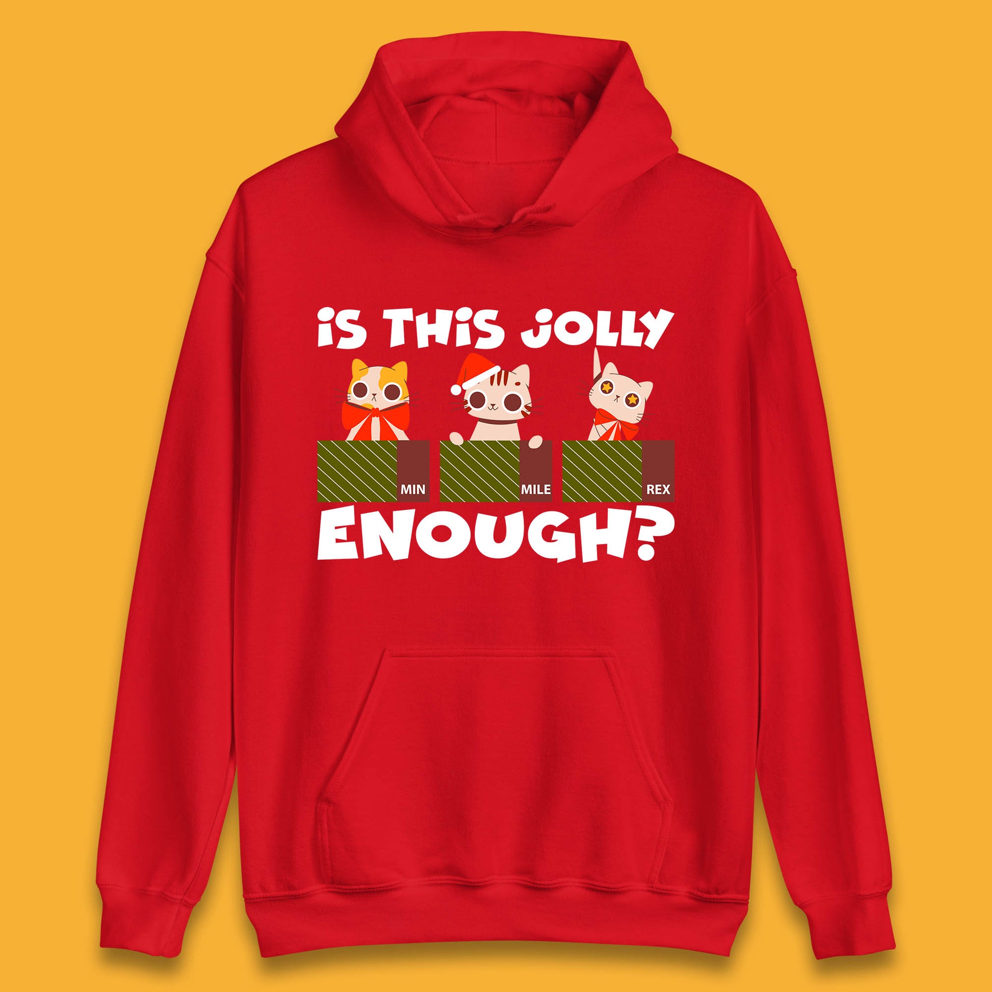 christmas cat hoodie