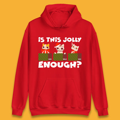 christmas cat hoodie