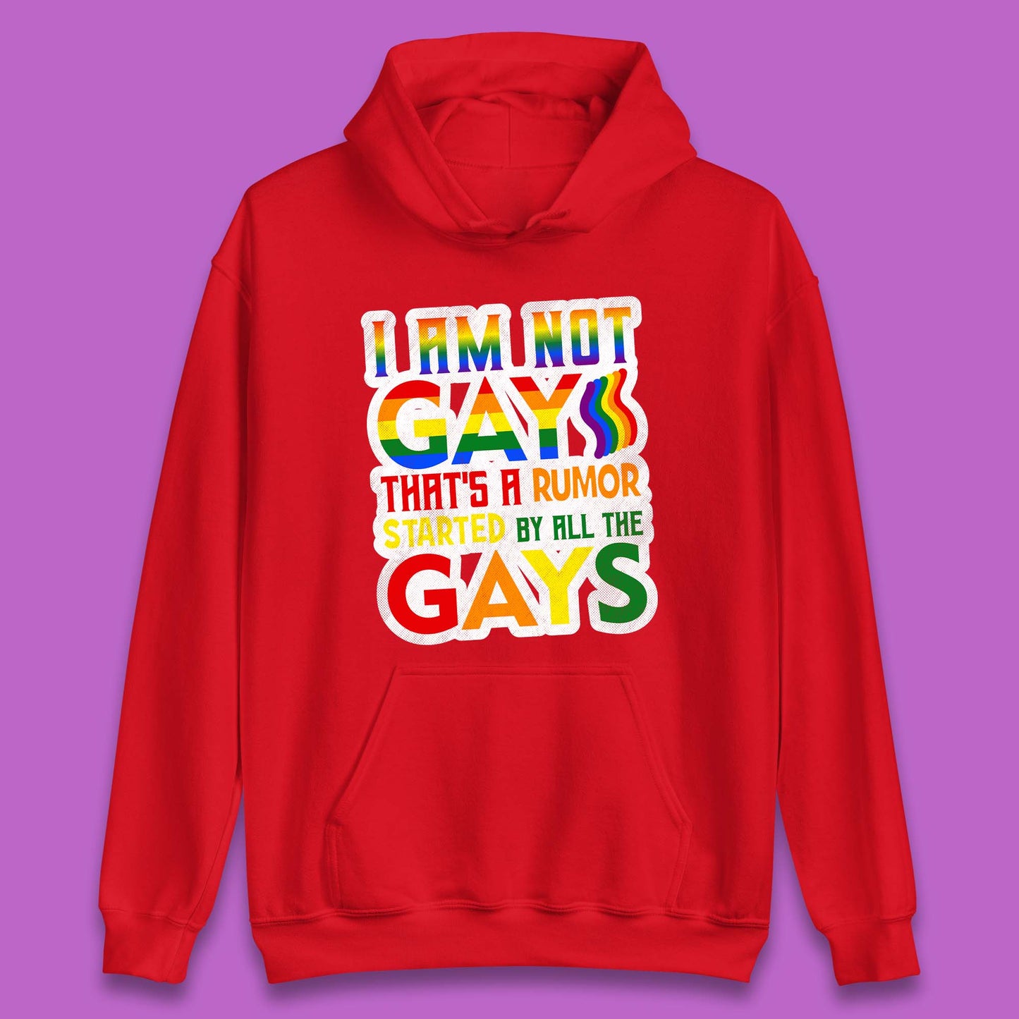 I Am Not Gay Unisex Hoodie