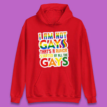 I Am Not Gay Unisex Hoodie