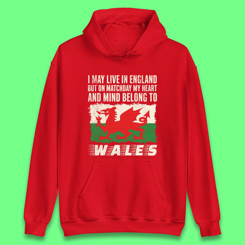 Welsh Football Team Hoodies for Sale