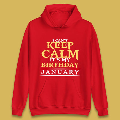January Birth Party Unisex Hoodie