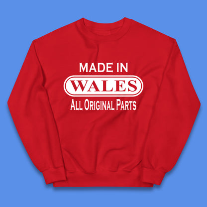 Made In Wales All Original Parts Vintage Retro Birthday Country In United Kingdom UK Constituent Country Gift Kids Jumper