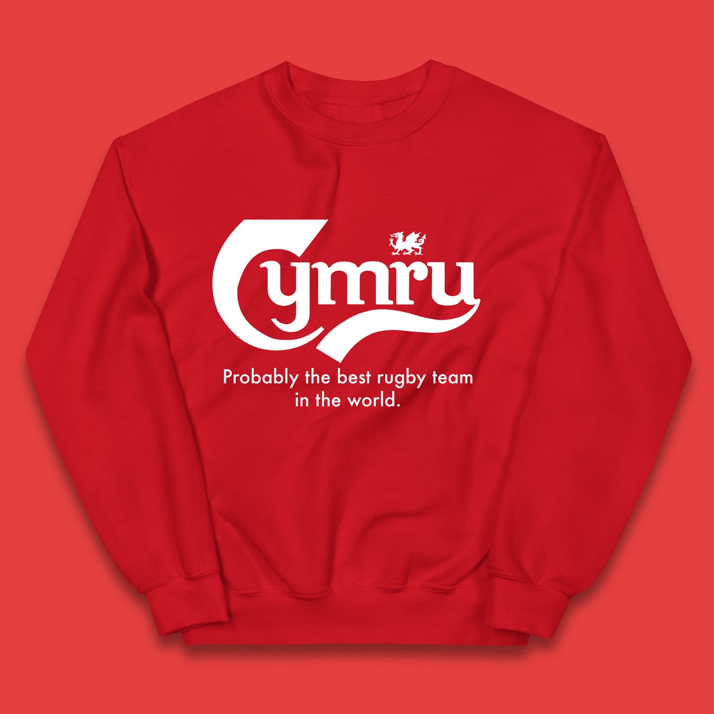 Junior Wales Rugby Hoodie