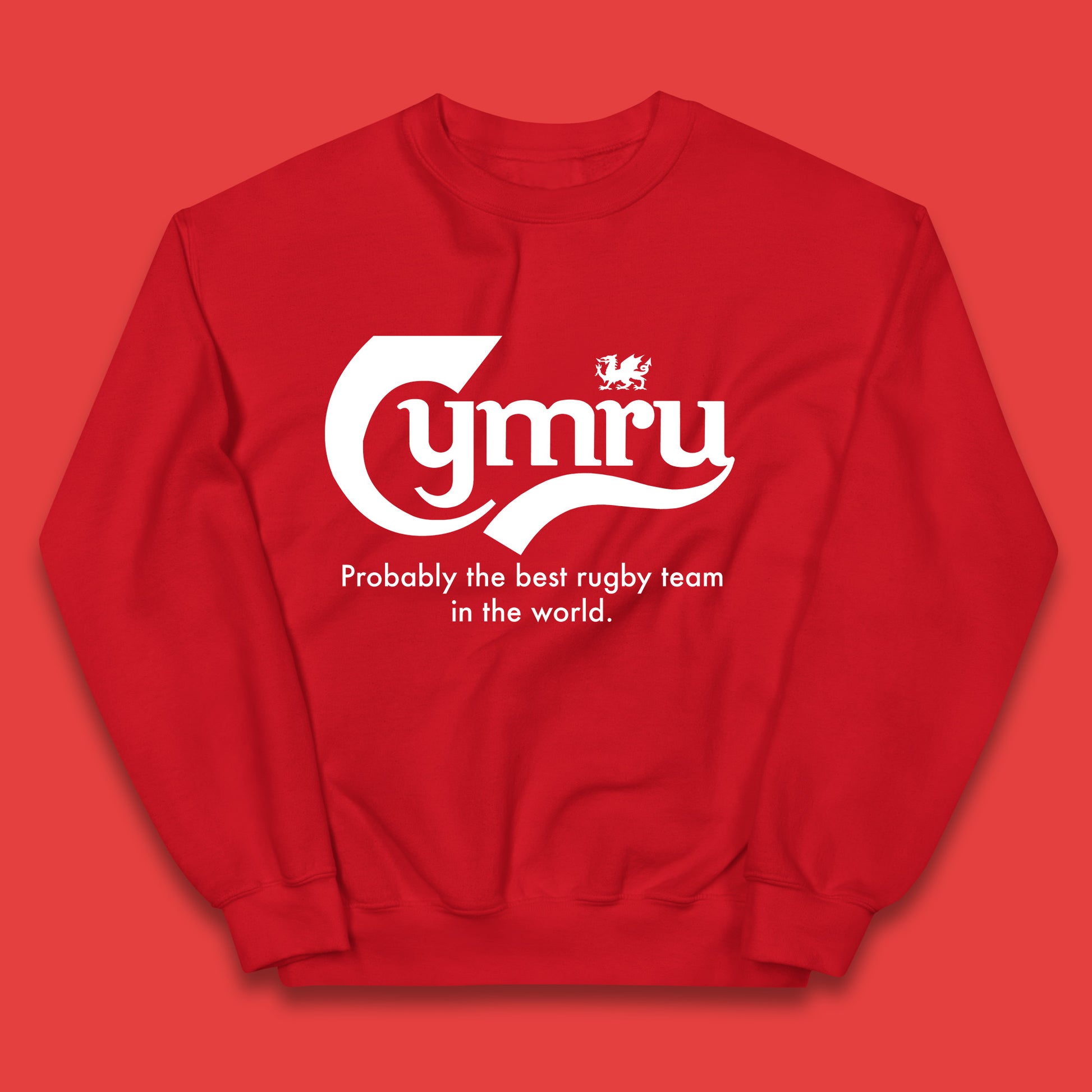 Junior Wales Rugby Hoodie