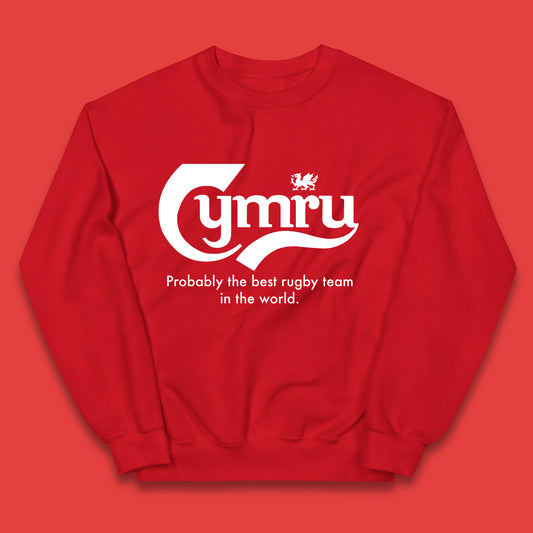 Junior Wales Rugby Hoodie
