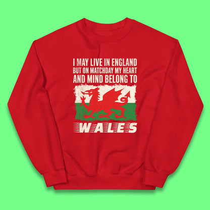 Childrens Wales Football Team Jumper