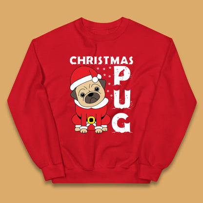 christmas pug dog jumper