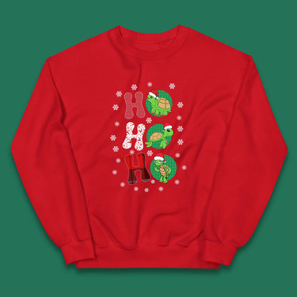 turtles santa kids jumper